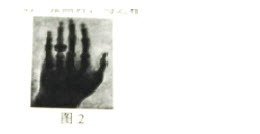 小学综合素质,真题专项训练,第四章教师文化素养