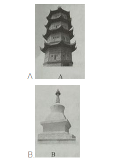 小学综合素质,章节练习,基础复习,章节真题