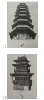 小学综合素质,章节练习,基础复习,章节真题