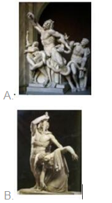 小学综合素质,章节练习,基础复习,章节真题