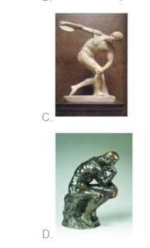 小学综合素质,章节练习,基础复习,章节真题