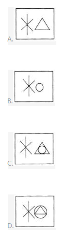 小学综合素质,历年真题,2016年下半年教师资格证考试《小学综合素质》真题