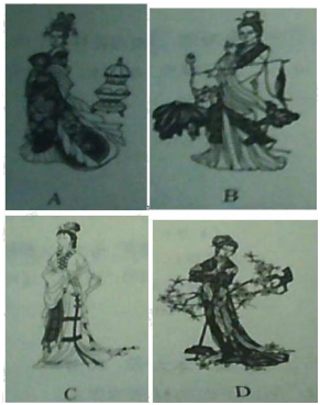 小学综合素质,章节练习,小学综合素质真题