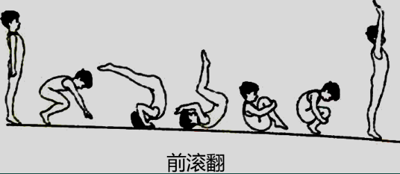 小学教育教学知识与能力,真题专项训练,第五章教学设计