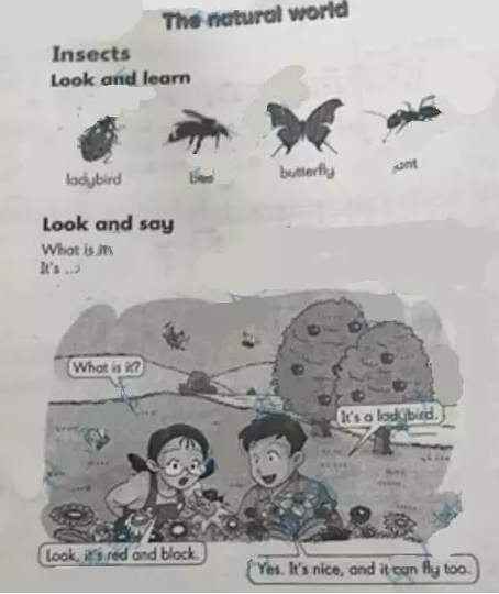 小学教育教学知识与能力,真题专项训练,第五章教学设计