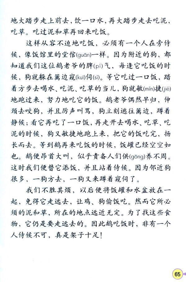 小学教育教学知识与能力,真题专项训练,第五章教学设计