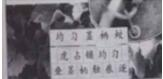 小学教育教学知识与能力,真题专项训练,第五章教学设计
