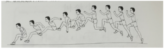 小学教育教学知识与能力,真题专项训练,第五章教学设计