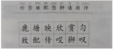 小学教育教学知识与能力,历年真题,2021年下半年教师资格证考试《小学教育教学知识与能力》真题