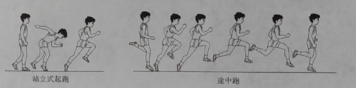 小学教育教学知识与能力,章节练习,基础复习,教资小学教育教学知识真题