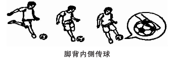 小学教育教学知识与能力,真题章节精选,第二部分教学知识与能力,第二章教学设计