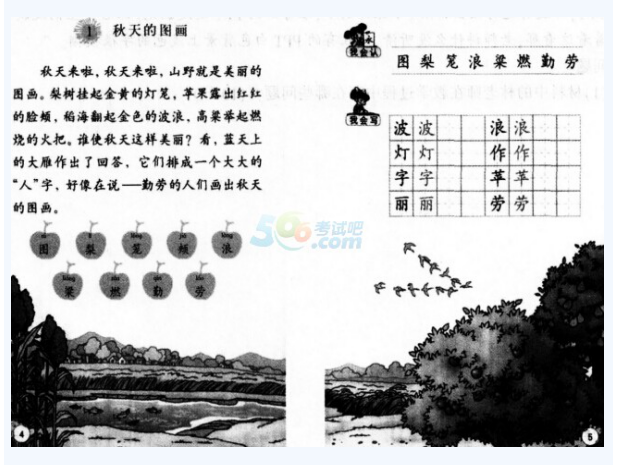 小学教育教学知识与能力,预测试卷,2021年教师资格证考试《小学教育教学知识与能力》名师预测卷5