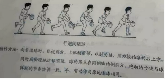 小学教育教学知识与能力,历年真题,2016年下半年教师资格证考试《小学教育教学知识与能力》真题