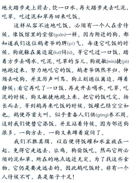 小学教育教学知识与能力,历年真题,2017年上半年教师资格证考试《小学教育教学知识与能力》真题