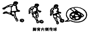 小学教育教学知识与能力,章节练习,基础复习,第五章教学设计
