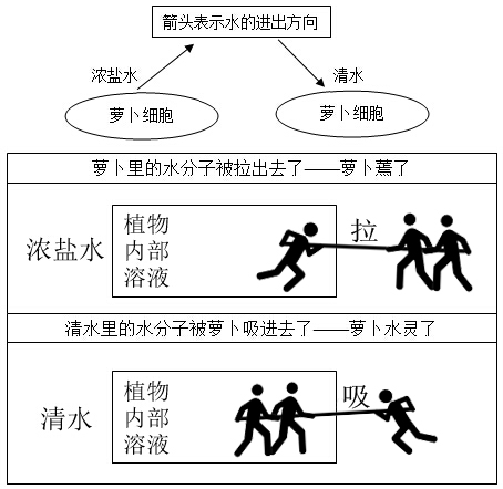 中学教育知识与能力,章节练习,中学教育知识与能力2