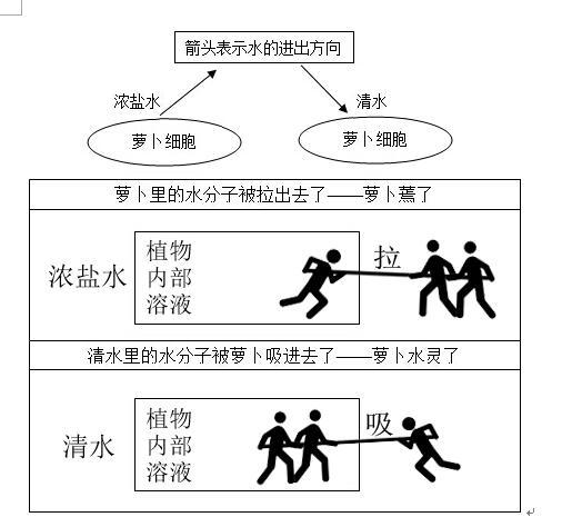 中学教育知识与能力,历年真题,2016年上半年教师资格考试《教育教学知识与能力（中学）》真题