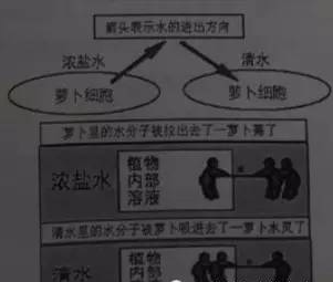 中学教育知识与能力,章节练习,中学教育知识与能力4