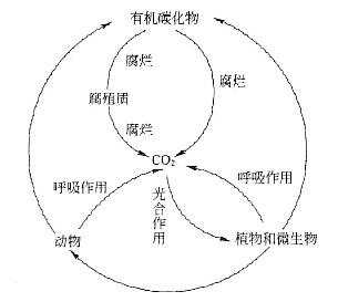 注册环保工程师专业基础,预测试卷,2021年度（环保）《专业基础考试》名师预测卷1