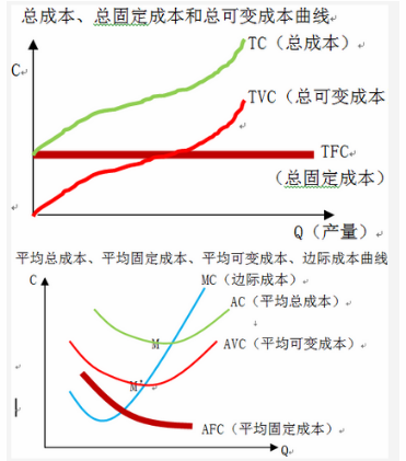 中级统计相关知识,章节练习,经济学基础知识