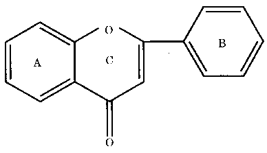 药学（士）,章节练习,基础知识