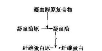 药学（士）,章节冲刺,基础知识