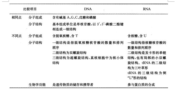 药学（士）,章节冲刺,基础知识