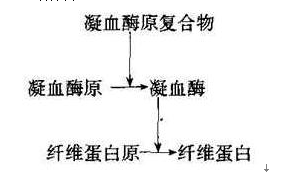 药学（师）,章节练习,基础复习,药师基础知识