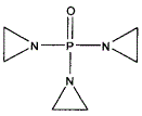 药学（中级）,章节练习,基础知识2