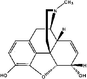 药学（中级）,章节练习,基础知识3