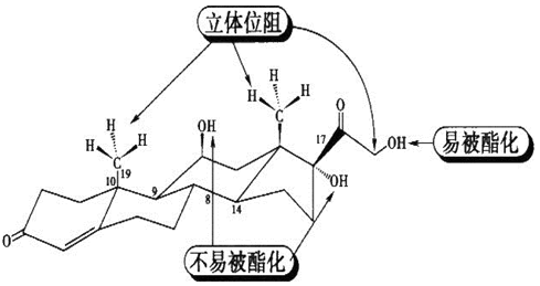 药学（中级）,历年真题,药学（中级）《基础知识》真题精选