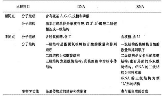 药学（中级）,知识点精做,基础知识