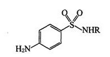 药学（中级）,知识点精做,基础知识
