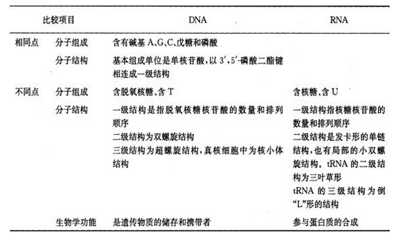药学（中级）,点睛提分卷,2022年药学（中级）《基础知识》点睛提分卷2
