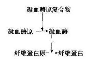 药学（中级）,深度自测卷,2022年药学（中级）《基础知识》深度自测卷1