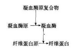 药学（中级）,高分通关卷,2022年药学（中级）《基础知识》高频考点2