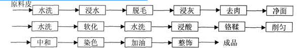 环评案例分析,章节练习,基础复习,基础知识