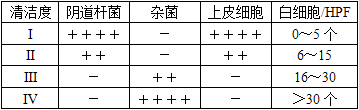 临床医学检验技术（师）,历年真题,2015临床医学检验技术（师）考试《相关专业知识》真题精选