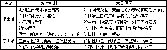 临床医学检验技术（师）,历年真题,2017临床医学检验技术（师）考试《基础知识》真题精选