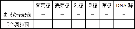临床医学检验技术（中级),历年真题,2018年检验（中级）专业实践能力真题