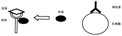 临床医学检验技术（中级),预测试卷,2022年检验（中级）专业知识名师预测卷3