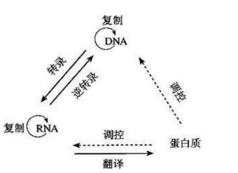 行测,历年真题,2019年0420山西省公务员考试《行测》真题