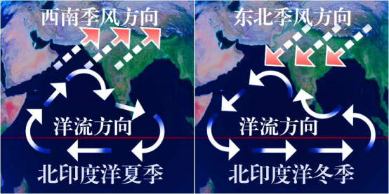 行测,历年真题,2020年0725四川省公务员考试《行测》真题