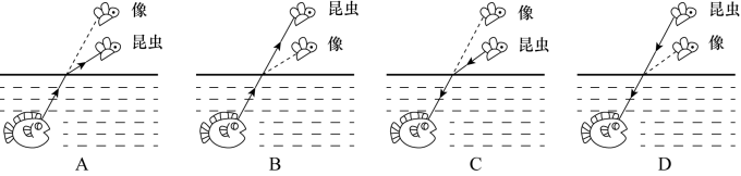 行测,历年真题,2020年1213上海公务员考试《行测》真题（A类）