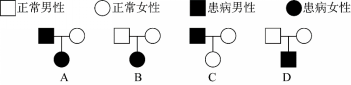 行测,历年真题,2021年0314广东省公务员考试《行测》真题（县级）