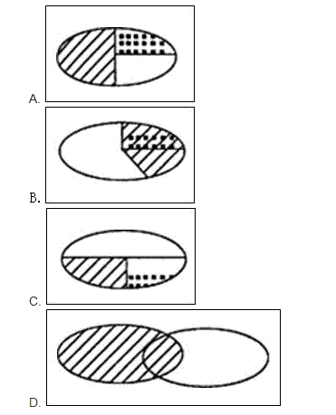 行测,历年真题,2007年山东省公务员考试《行测》真题