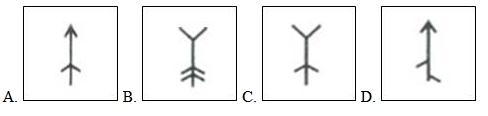 行测,历年真题,2006年辽宁省公务员考试《行测》真题（B类）