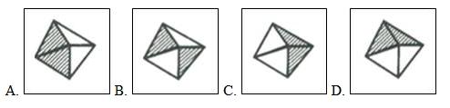 行测,历年真题,2006年辽宁省公务员考试《行测》真题（B类）