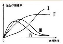 行测,历年真题,2009年云南省公务员考试《行测》真题