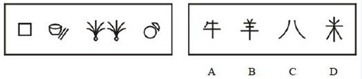 行测,历年真题,2006年福建省公务员考试《行测》真题（春季）